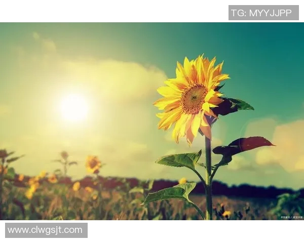 魏小杰的奋斗故事：从平凡到卓越的成长之路与人生启示